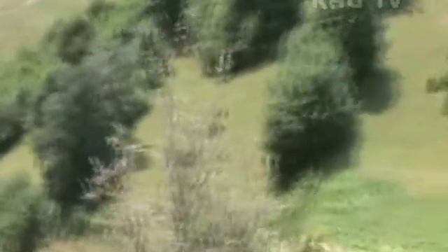 "Поездка на границу" Арамян Эрато. смотреть онлайн