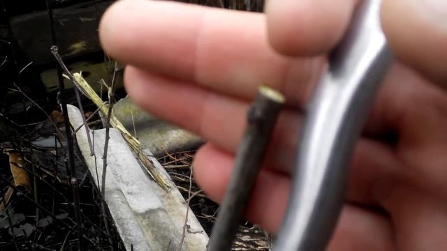 Способы обрезки деревьев. Ways Of Pruning Trees.