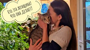 После долгой и невыносимой разлуки Треугольный кот и Маша воссоединились! Они не виделись два дня!