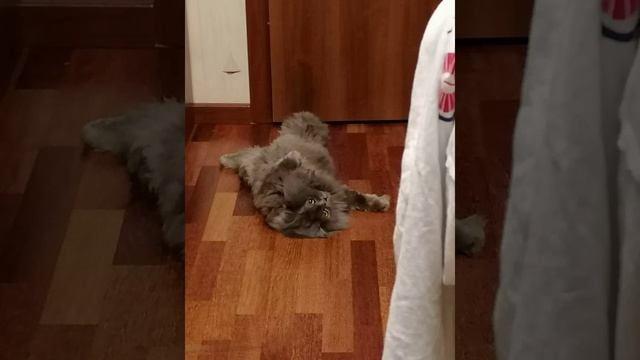 Стингер - По приколу укололась смотреть онлайн