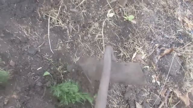 Палисадник, зона отдыха, сад цветов- планы, идеи и нача? смотреть онлайн