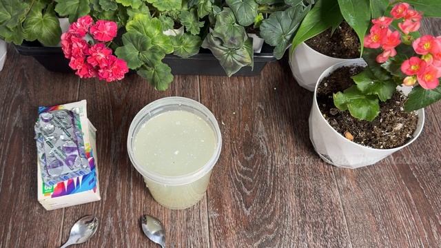 ЛУЧШАЯ ТАБЛЕТКА для ВСЕХ КОМНАТНЫХ РАСТЕНИЙ и ЦВЕТОВ смотреть онлайн