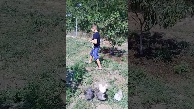 Во саду ли в огороде смотреть онлайн