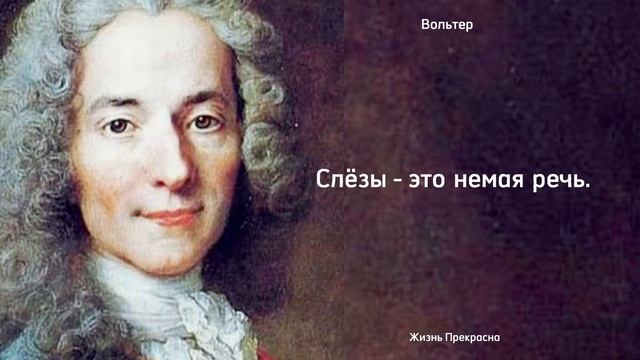 Мудрые мысли Вольтера. Цитаты, афоризмы, мудрые слова. смотреть онлайн