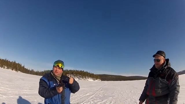 отпускаем гольца