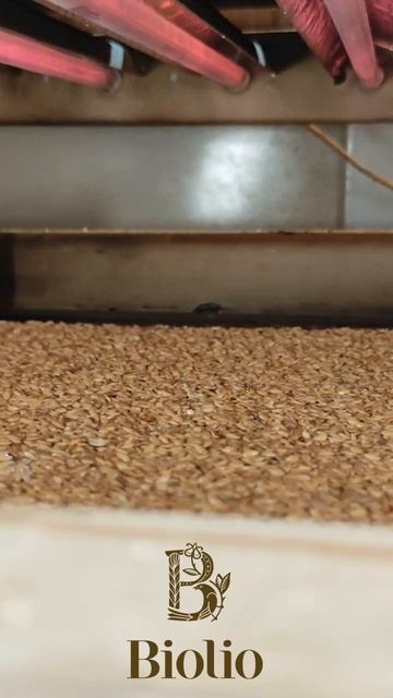 Биолио - Золотистый лён под инфракрасными лампами#про?