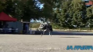 Прикольные роботы