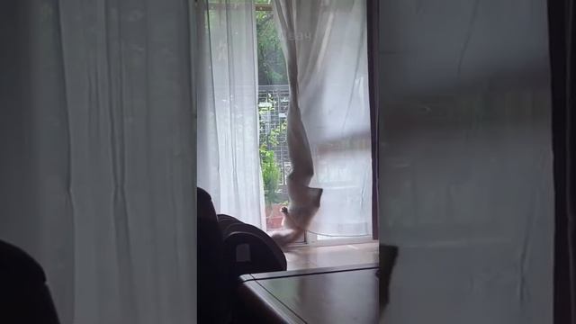 VID_20250503_180512_550.mp4 смотреть онлайн