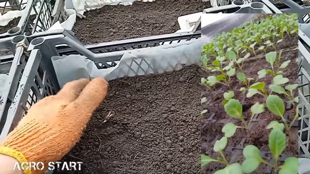 Грунт на якому росте ВСЕ! смотреть онлайн