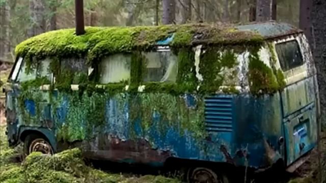 Семья нашла заброшенный автобус, войдя внутрь они пот?
