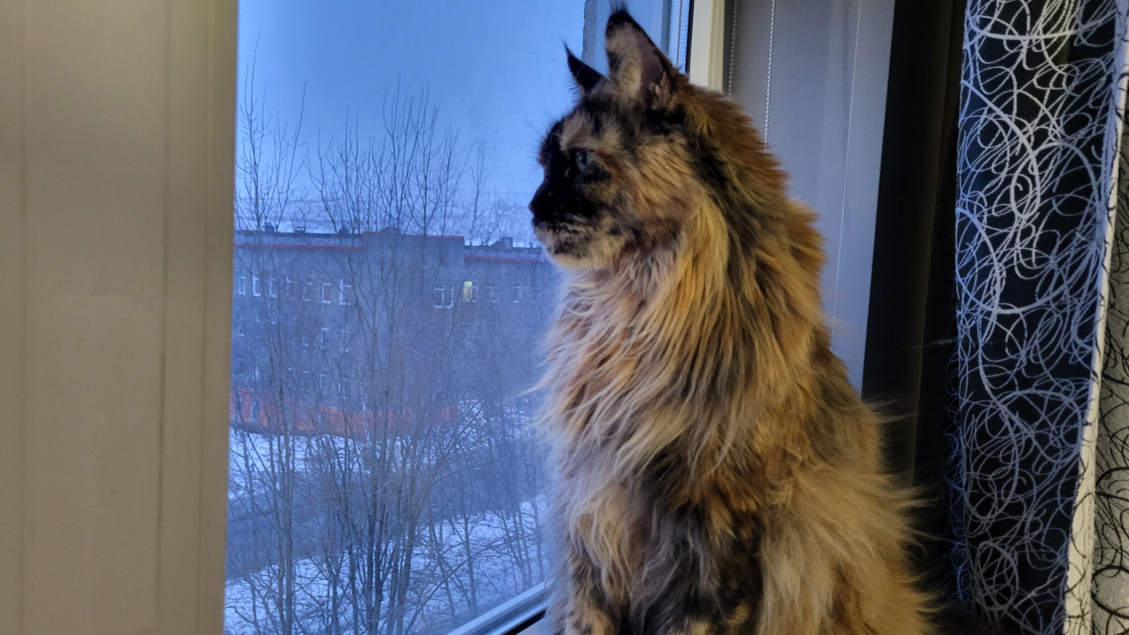 Кировск // Белые ночи смотреть онлайн