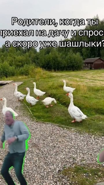 Скажем все уверенно - да, было!😎 тг: dachahack 🏡 #дача #гряд смотреть онлайн