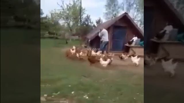 ФИЗРУК на ПЕНСИИ смотреть онлайн