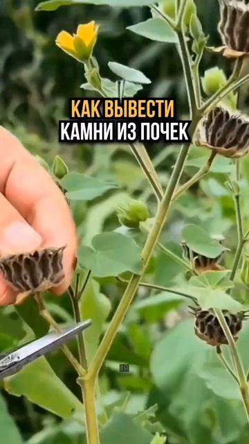 10 апреля 2025 г. смотреть онлайн