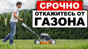 Газон на участке — это ОШИБКА? / Чем можно ЗАМЕНИТЬ газон на своём участке:  плюсы и минусы газона