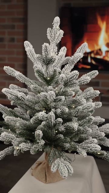 Адель заснеженная 60 см