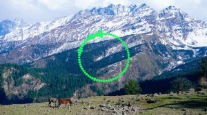 МАГОМЕД ШАМОВ - РАДИ ТЕБЯ 2025