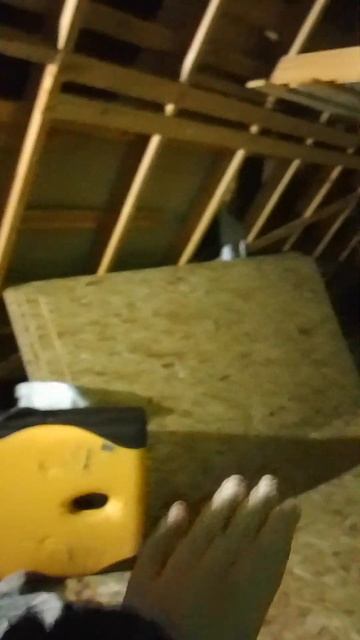 Мы вернулись #деревенский #животные #деревня #дача #кур смотреть онлайн