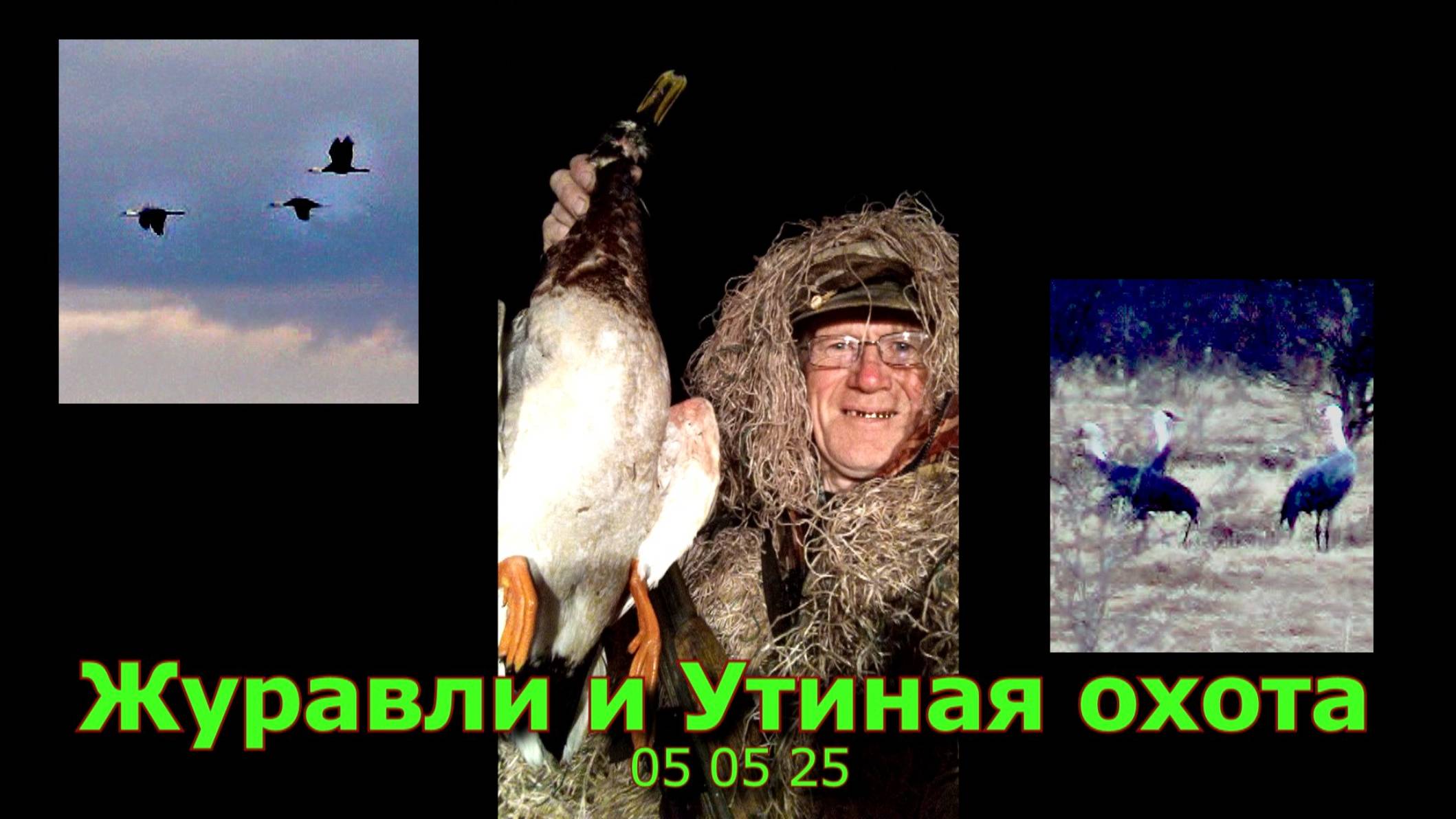 Журавли и Утиная охота 05 05 25 смотреть онлайн