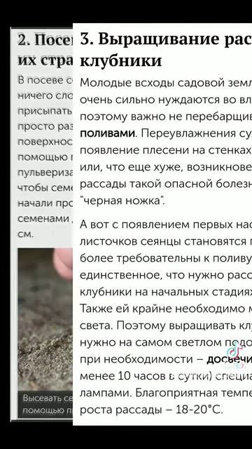 Клубника - от посева семян до высадки в грунт. Все, что ? смотреть онлайн