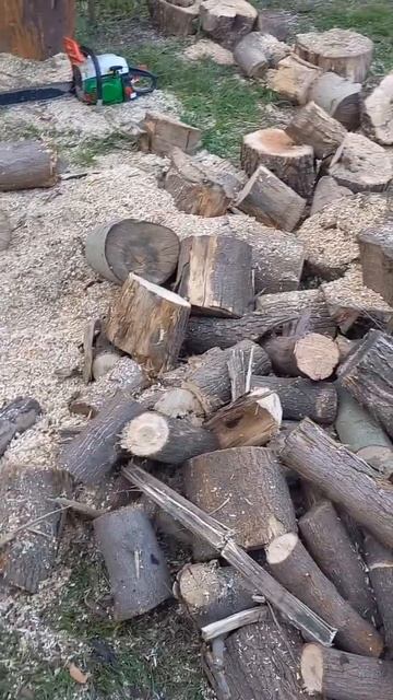 свободное время #работа #зарплаты #огород #дача #юмор #au смотреть онлайн