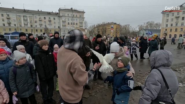 "Ты пришёл в этот мир не один" и "ДАВАЙ, РОССИЯ!!! — Россия-Чемпион!" / СербаТВ 🔴 смотреть онлайн