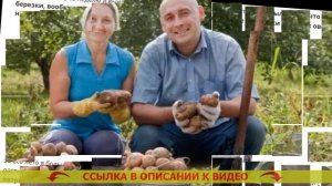 ЭФФЕКТИВНЫЙ ГЕРБИЦИД ХАКЕР 💣 БИОГРАД СРЕДСТВО ОТ СОР