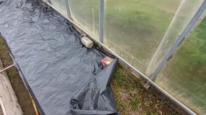 Как в парнике быстро избавиться от сорняков