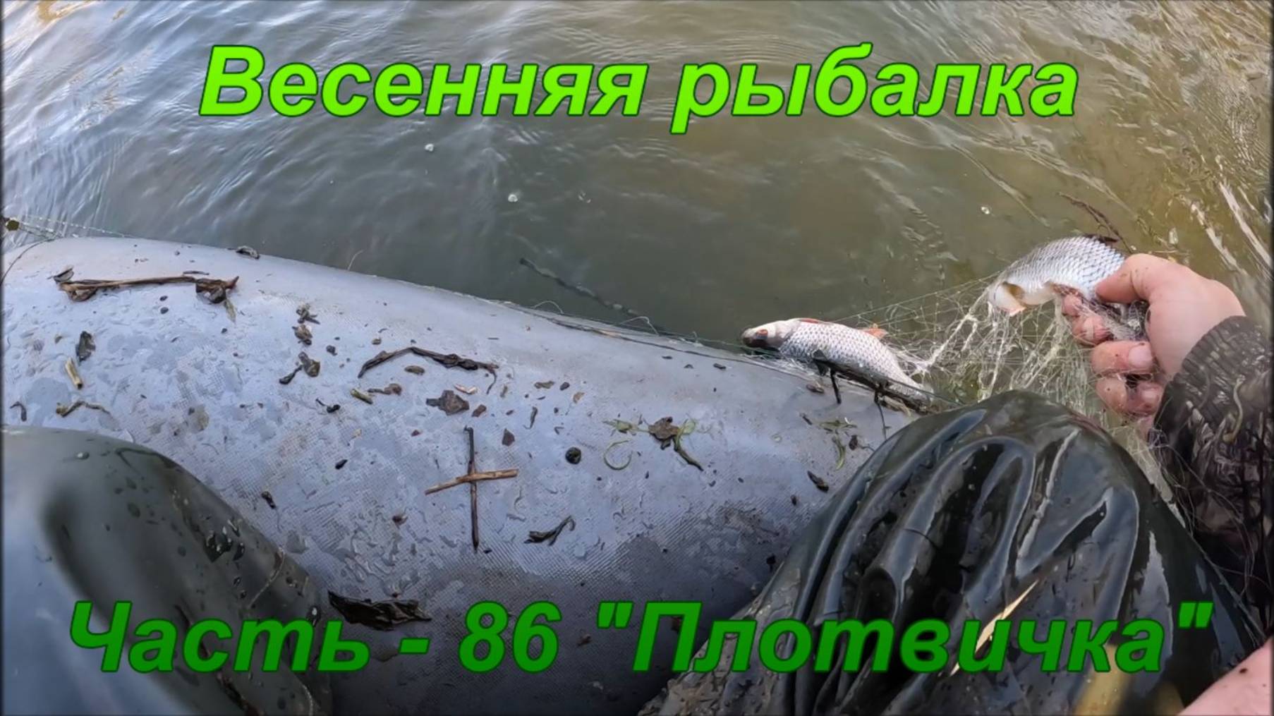 Весенняя рыбалка. Часть - 86. "Плотвичка". смотреть онлайн