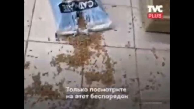 Лучшие приколы BEST CUBE №14 #memes #jokes смотреть онлайн