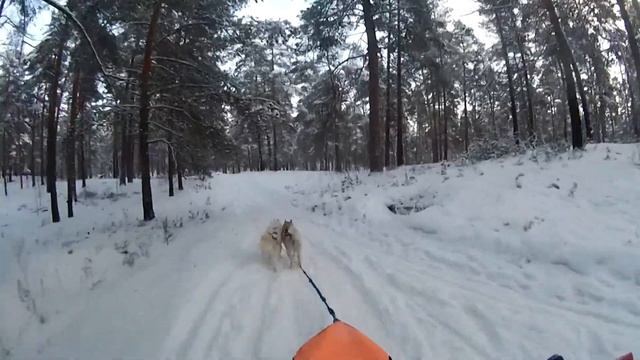 Полли и Елисей смотреть онлайн