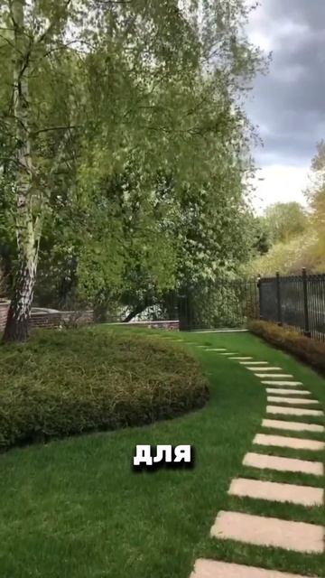 Как создать пошаговую дорожку #ландшафтныйдизайн #сад смотреть онлайн
