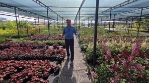 Питомник Агрофирмы Поиск. Делимся ассортиментом для в