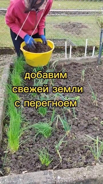 сезон уборки#посадила редис в марте#дачныйкайф#садого смотреть онлайн