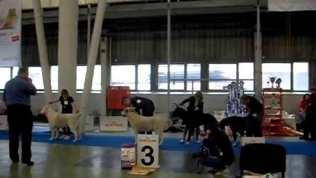 27.3.2016 ЕКБ КАМЕННЫЙ ЦВЕТОК смотреть онлайн