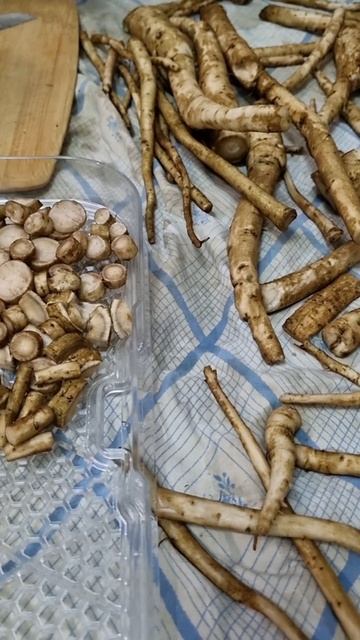 КАК ВЫГЛЯДИТ ЗДОРОВЬЕ.