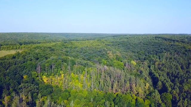 Утро в юрта-парке "Крапивенское городище" смотреть онлайн