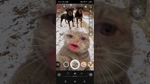 как называется моя семя смотреть онлайн