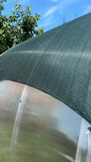 Жалею, что не сделала этого раньше. Затеняющая сетка н? смотреть онлайн