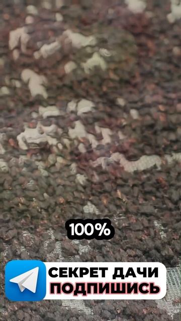 Календарь посадок на весну оставила в описании профил смотреть онлайн