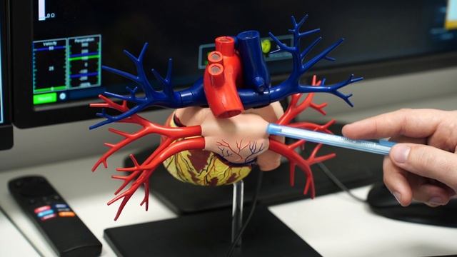 Аритмология