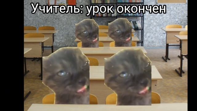 СБОРНИК ВИДЕО С МЕМНЫМИ КОТАМИ! 12 минут видео с мем котами! смотреть онлайн