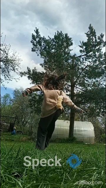 квд #квадробика #котывоители
