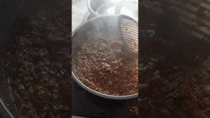 КАК СДЕЛАТЬ МИЦЕЛИЙ ВЕШЕНКИ? ДЕЛАЮ МИЦЕЛИЙ ГРИБОВ ВЕШ?