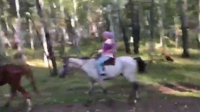 Ақ дариғай. Орындаушы Караганды Көзкөргендер ардагерлер ансамблі мүшесі Алтын Шаймерденова