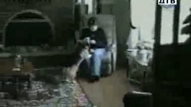 Прикол смешные моменты онлайн смотреть онлайн