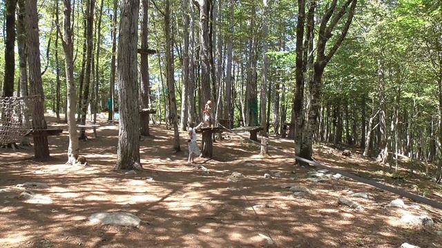 Верёвочный парк смотреть онлайн