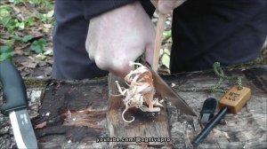 Нож Клык от 7 НОЖЕЙ. Нож с Выставки Клинок 2023