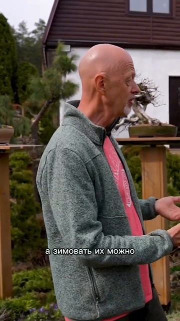 ДЕРЕВЬЯ ДЛЯ БОНСАЙ В СРЕДНЕЙ ПОЛОСЕ смотреть онлайн