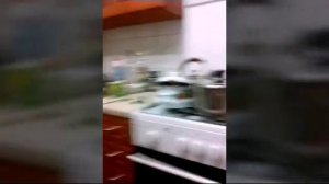 Ревезорро 3 сезон